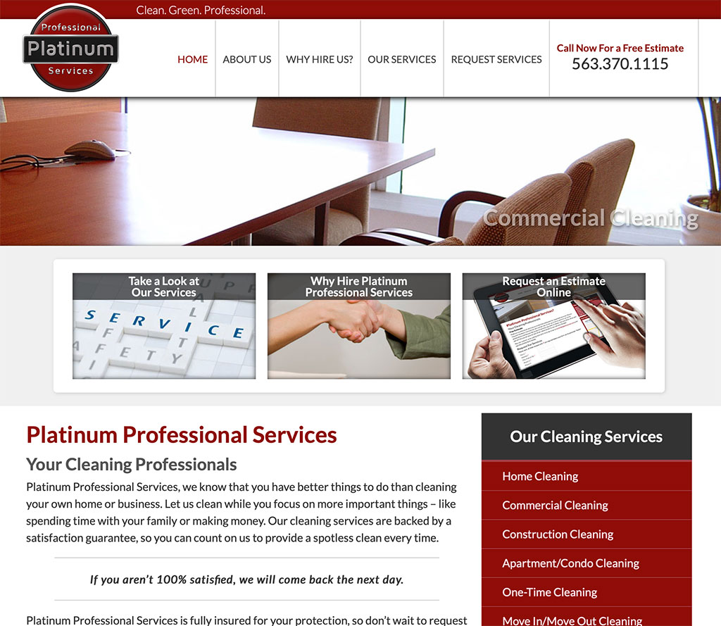 Platinum Professional Services Website